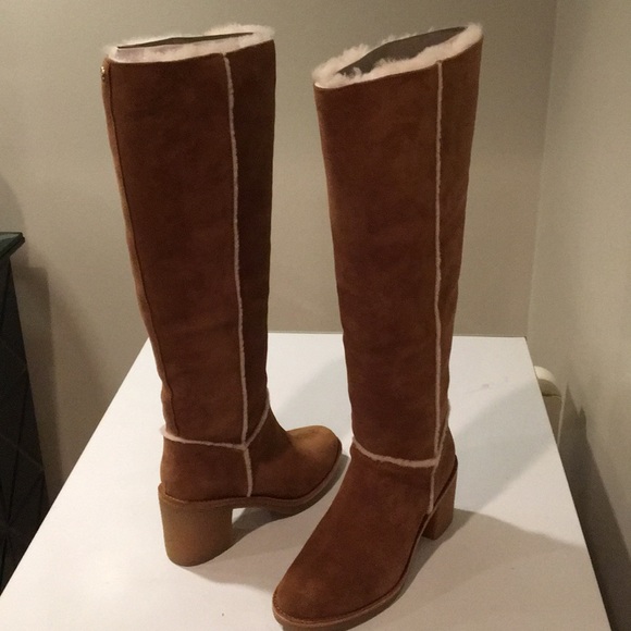 ugg kasen chestnut